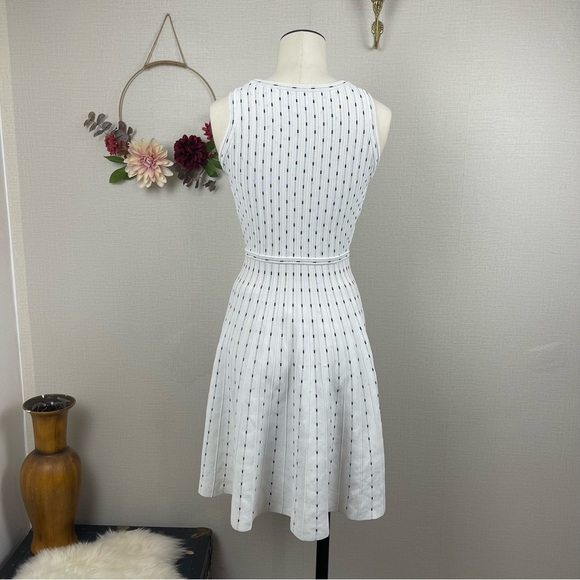 Milly Vertical Dot Flare Dress in Ivory & Black size P 0-2 - Picture 3 of 16